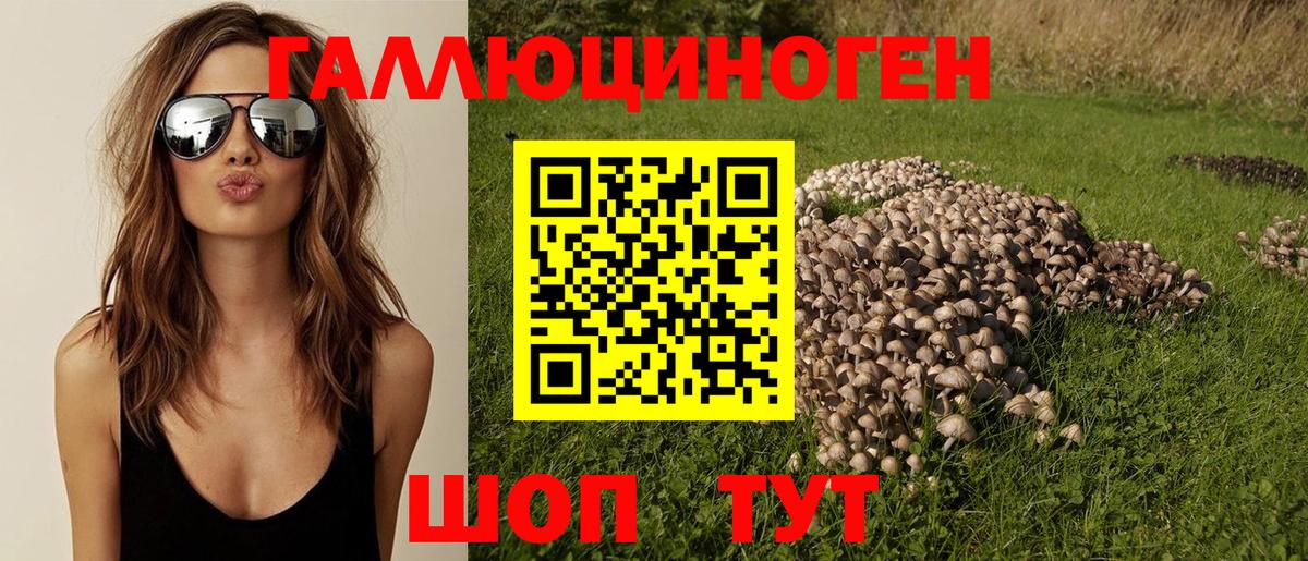 Галлюциногенные грибы ЛСД Берёзовский